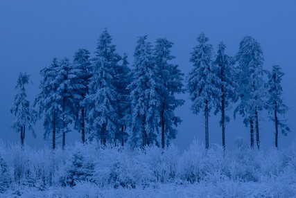 2_26P_Andreas_12_Eiskalt.jpg