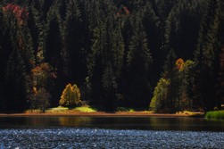 Spitzingsee.jpg