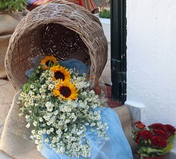 IMG_0500.jpg
